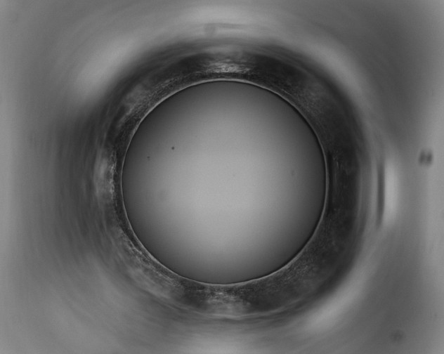 X0000115650387200911241739