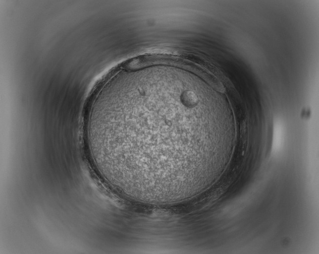 X0000115650388200911241739