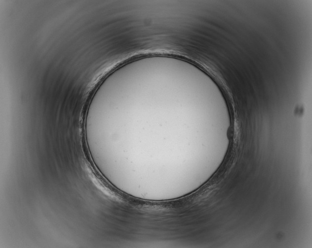 X0000115650389200911241739