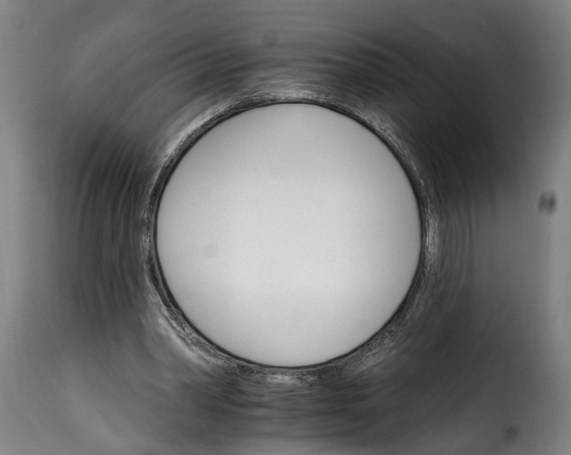 X0000115650390200911241739