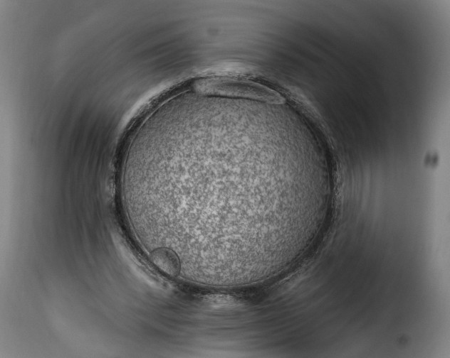 X0000115650392200911241739