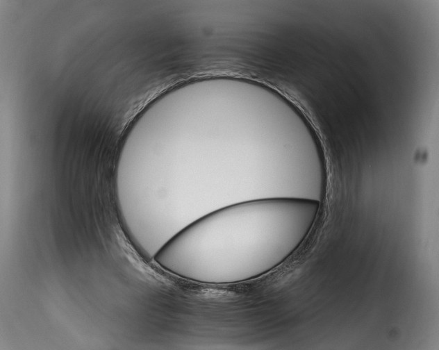 X0000115650393200911241739