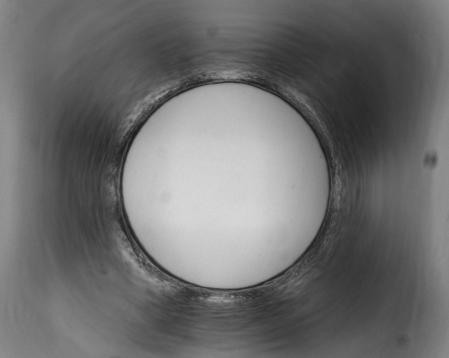 X0000115650394200911241739