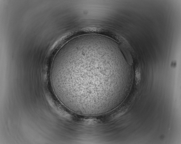 X0000115650396200911241739