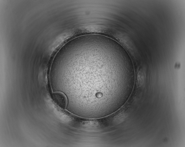 X0000115650398200911241739