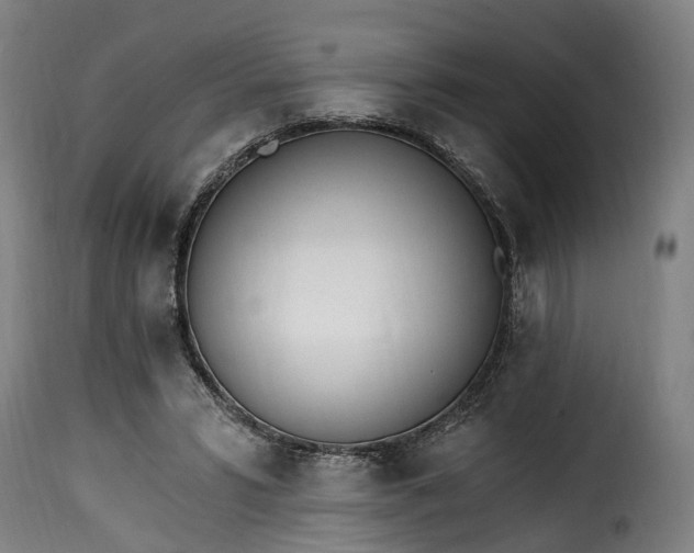 X0000115650399200911241739