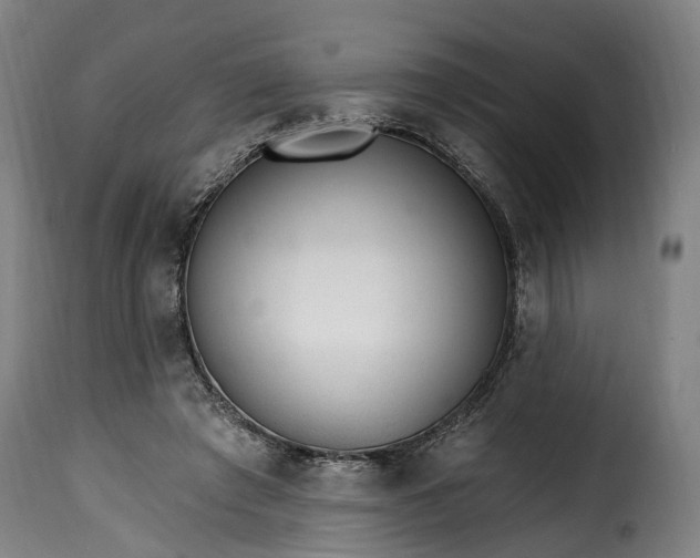 X0000115650401200911241739