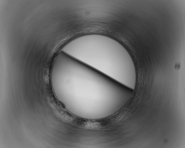 X0000115650403200911241739