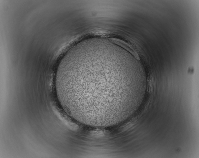 X0000115650404200911241739