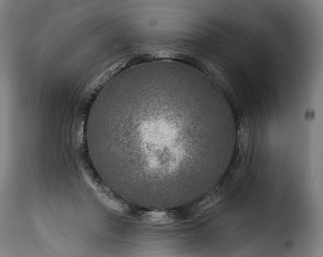 X0000115650406200911241739