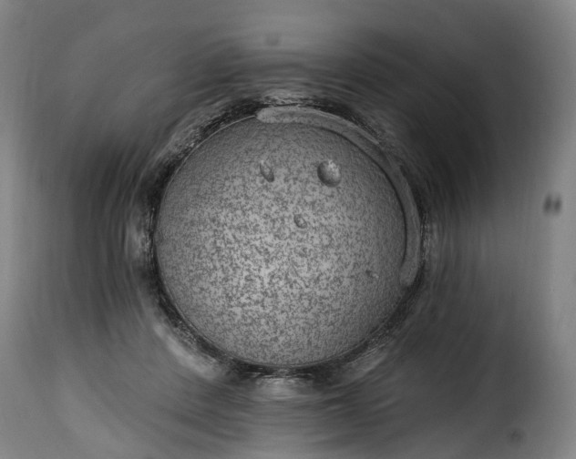 X0000115650408200911241739