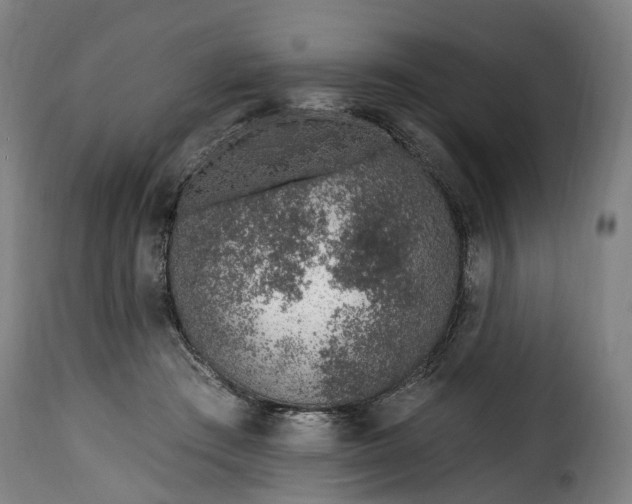 X0000115650409200911241739