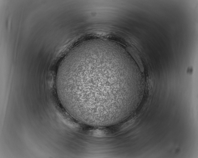 X0000115650412200911241739