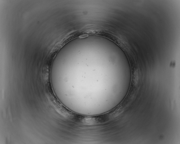 X0000115650413200911241739