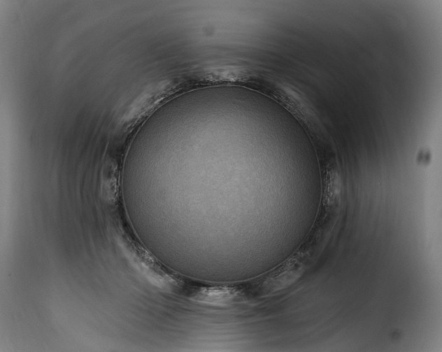 X0000115650414200911241739