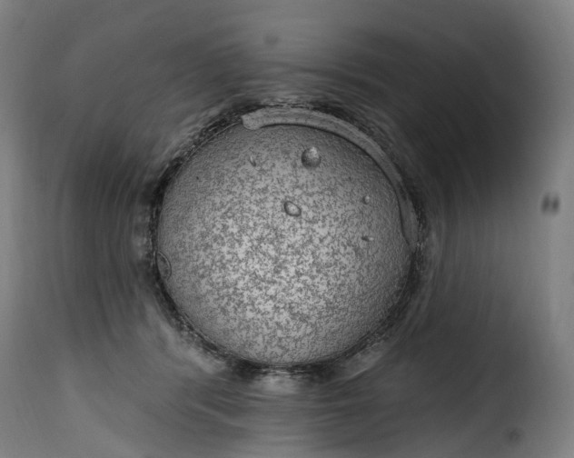 X0000115650416200911241739