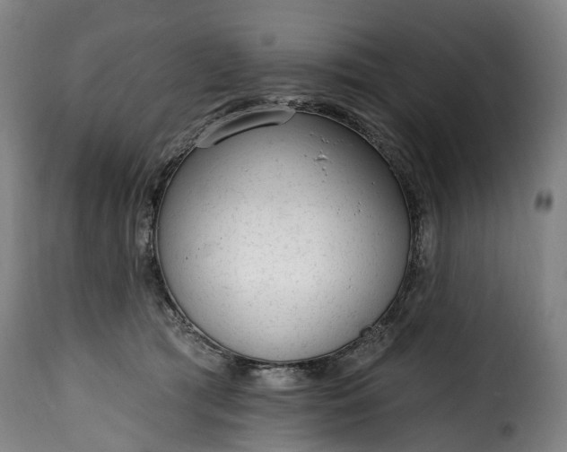 X0000115650417200911241739