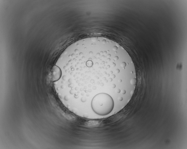 X0000115650418200911241738