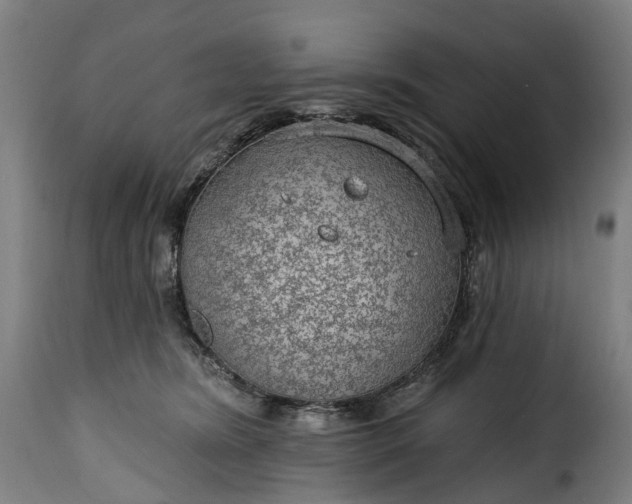 X0000115650420200911241738