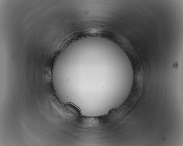 X0000115650421200911241738