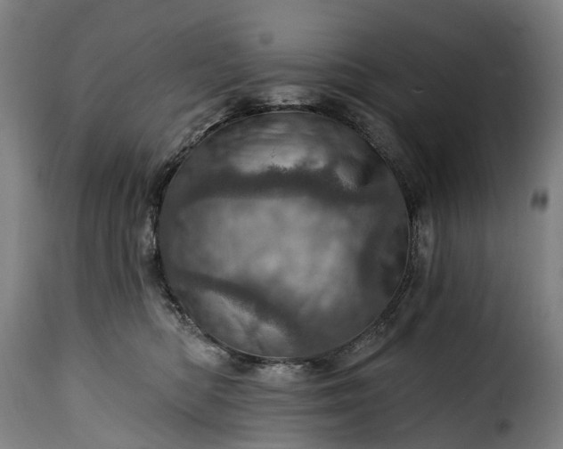 X0000115650422200911241738