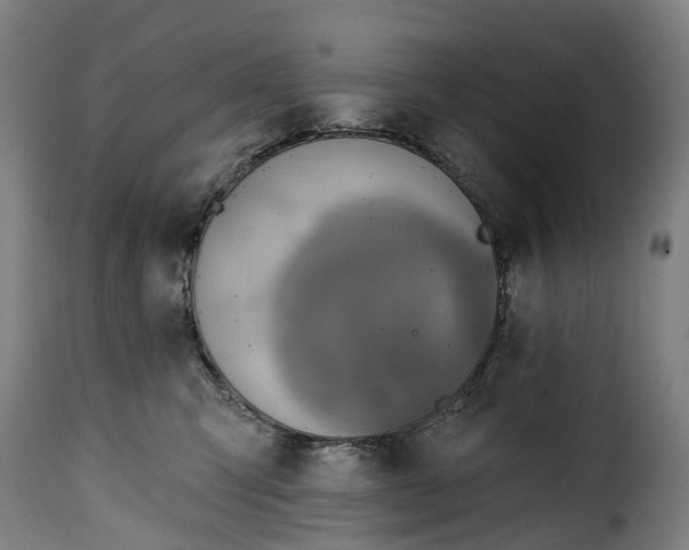 X0000115650423200911241738