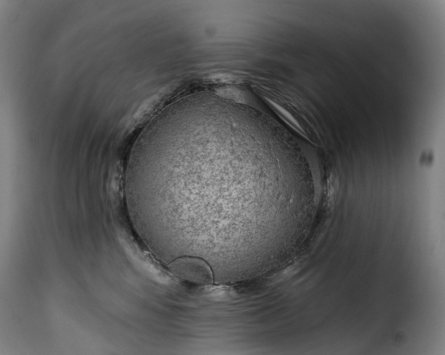 X0000115650424200911241738