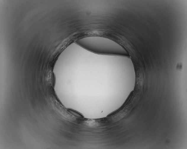 X0000115650425200911241738