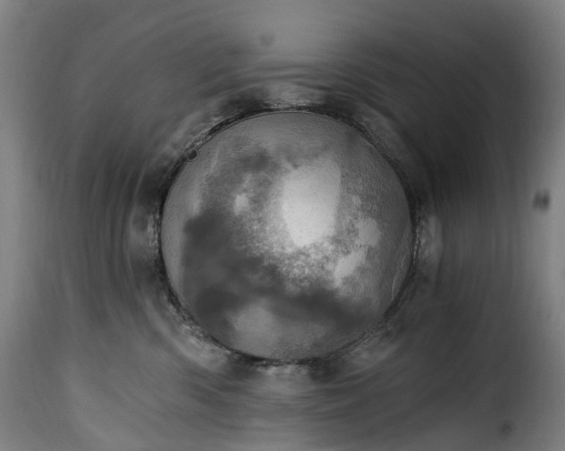 X0000115650426200911241738