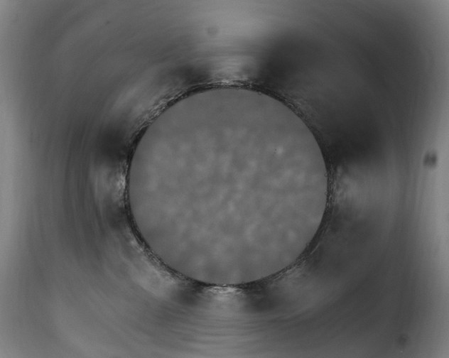 X0000115650427200911241738