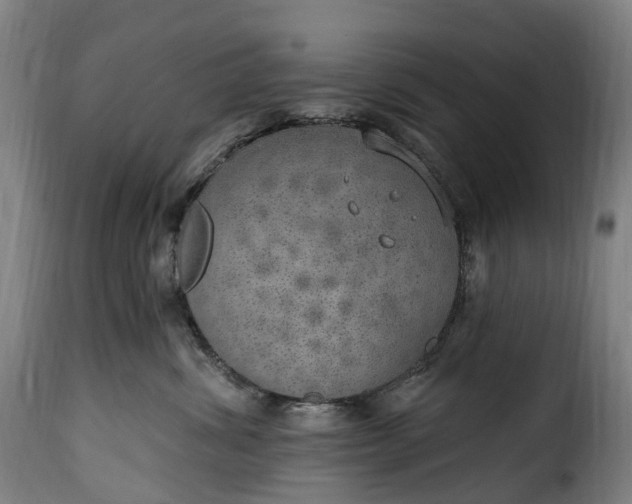 X0000115650428200911241738