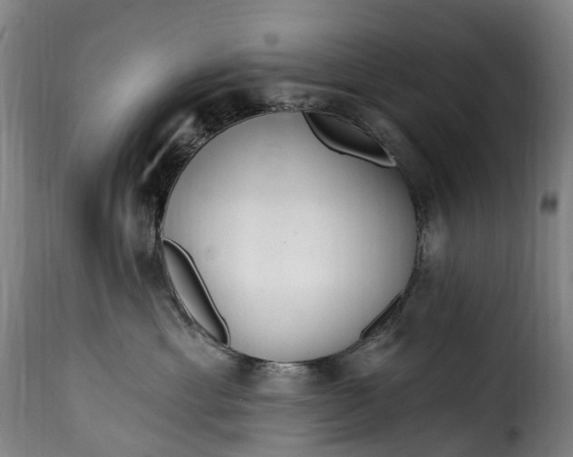 X0000115650429200911241738