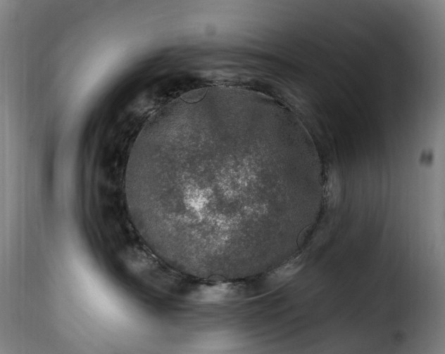 X0000115650430200911241738