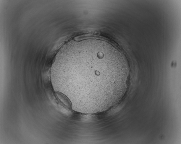 X0000115650432200911241738