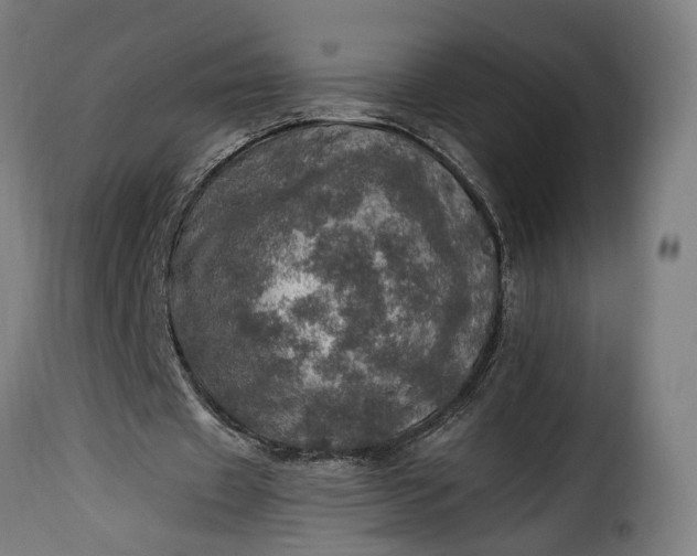 X0000115650433200911241737