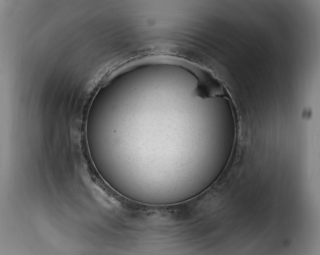 X0000115650434200911241738