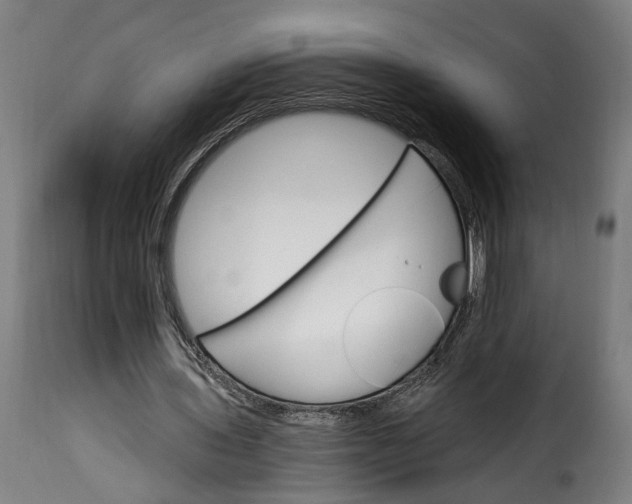 X0000115650435200911241738