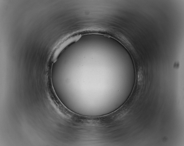 X0000115650436200911241738