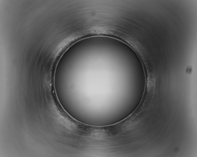 X0000115650438200911241738