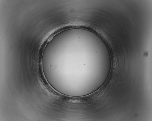 X0000115650440200911241738