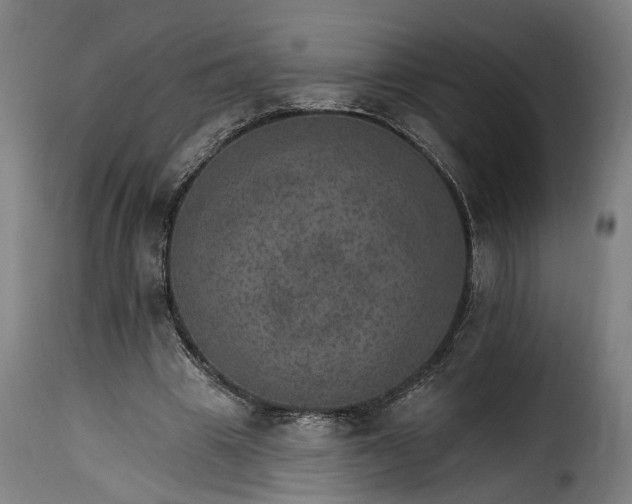 X0000115650441200911241738