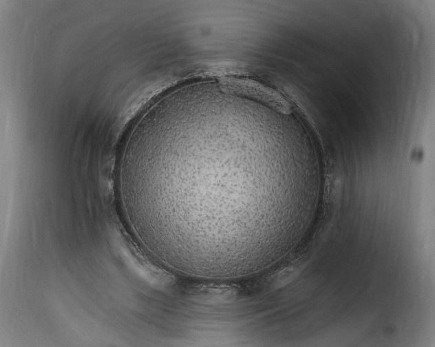 X0000115650443200911241738