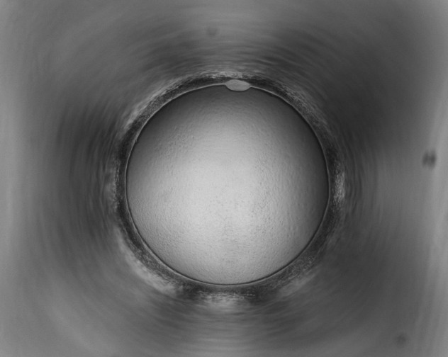 X0000115650444200911241738