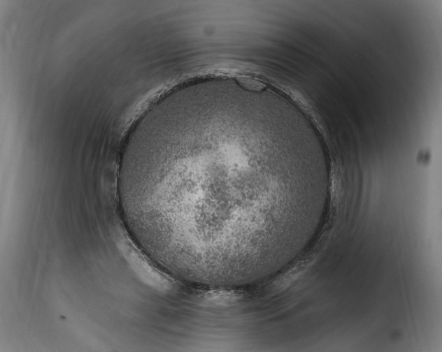 X0000115650445200911241738