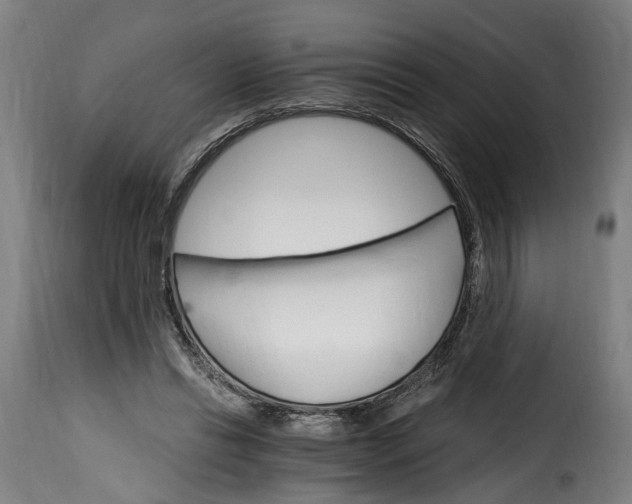 X0000115650446200911241738