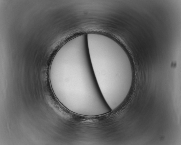 X0000115650447200911241738