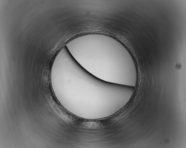 X0000115650449200911241738