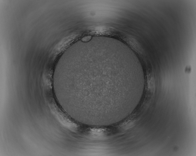 X0000115650450200911241738