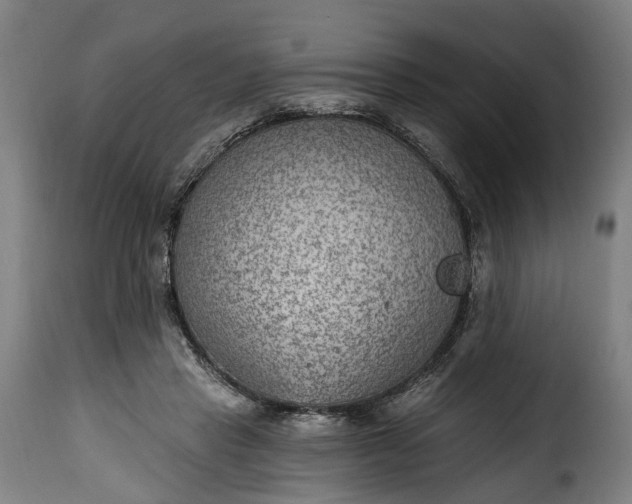 X0000115650453200911241738