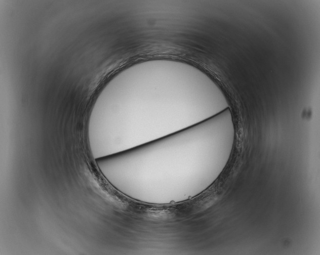 X0000115650454200911241738